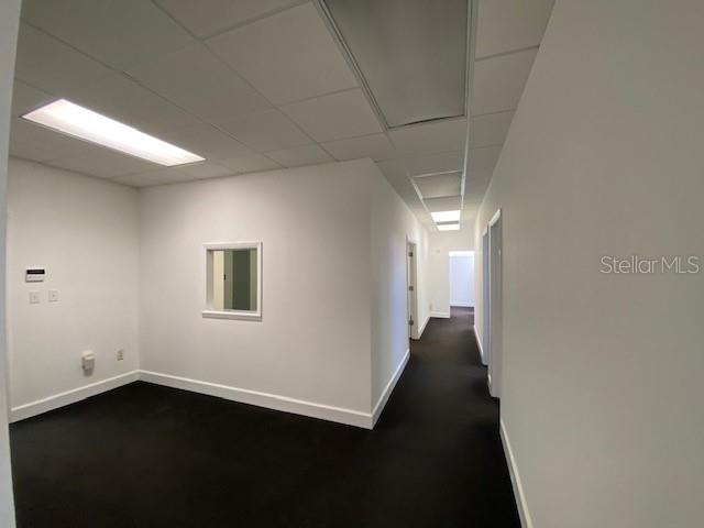 2109 E PALM AVE, TAMPA, FL — photo 5