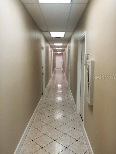2109 E PALM AVE, TAMPA, FL — photo 3