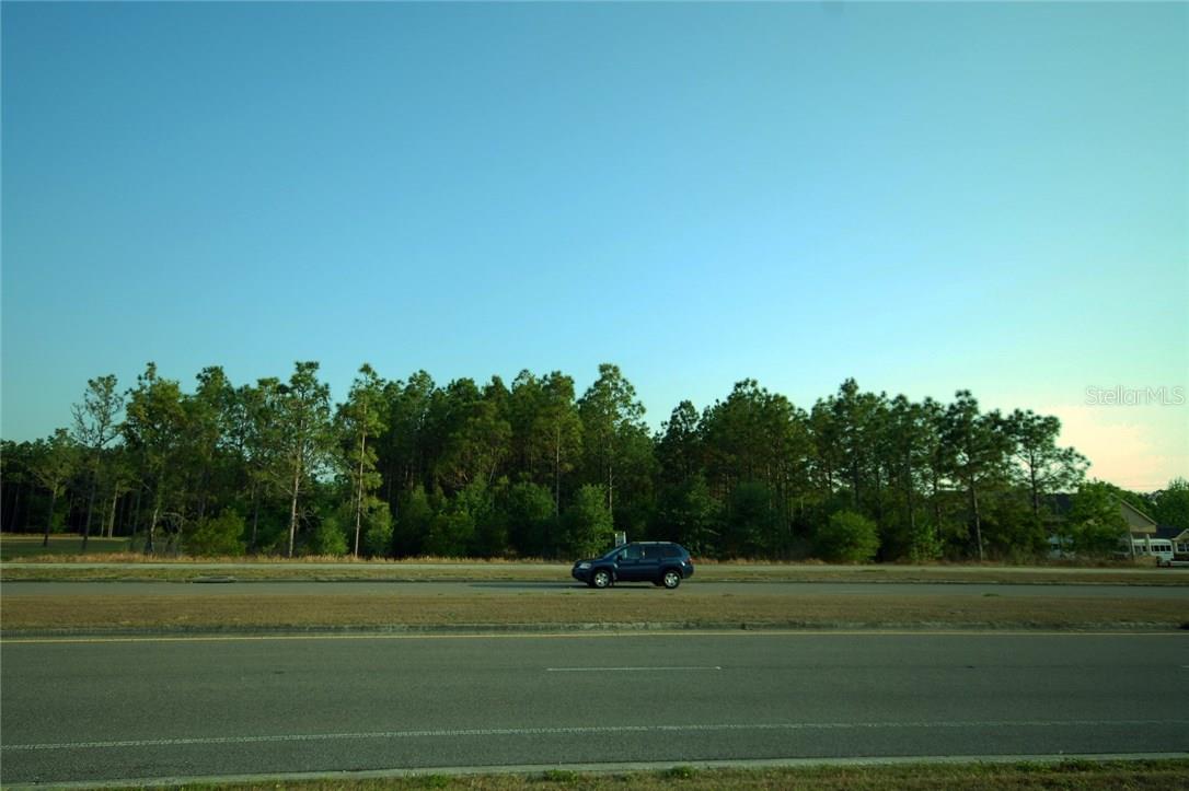 30150 OVERPASS RD, WESLEY CHAPEL, FL