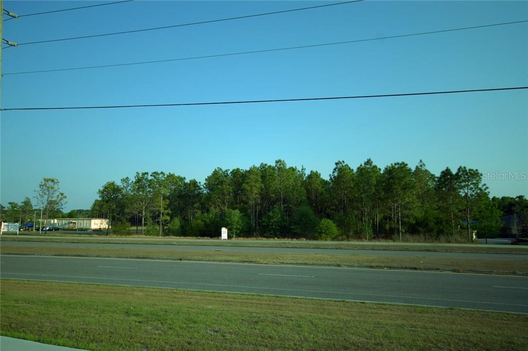30150 OVERPASS RD, WESLEY CHAPEL, FL — photo 2