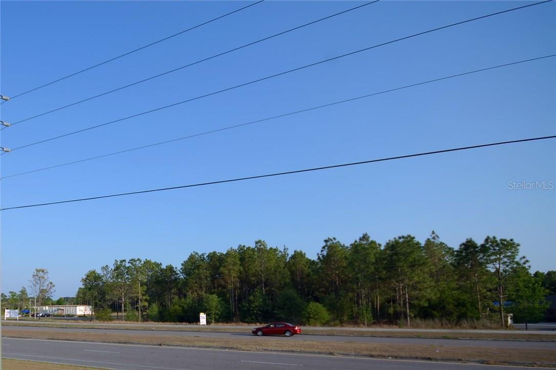 30150 OVERPASS RD, WESLEY CHAPEL, FL — photo 3