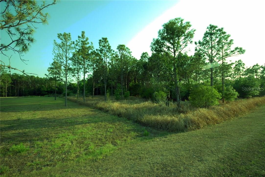 30150 OVERPASS RD, WESLEY CHAPEL, FL — photo 4