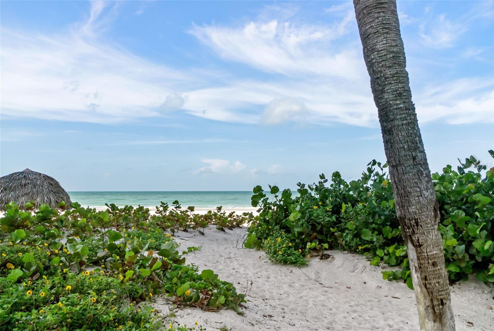 2425 GULF OF MEXICO DR #7C, LONGBOAT KEY, FL — photo 41