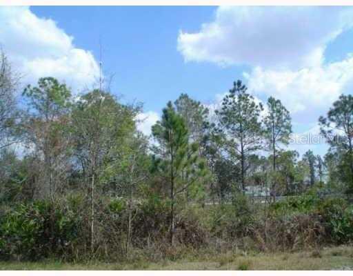 , ZEPHYRHILLS, FL — photo 3