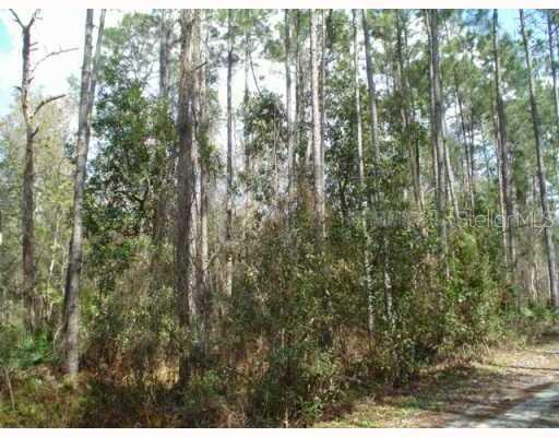 , ZEPHYRHILLS, FL