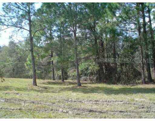 , ZEPHYRHILLS, FL — photo 2