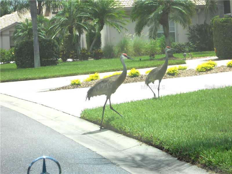 8911  VERANDA WAY  #222, SARASOTA, FL — photo 23