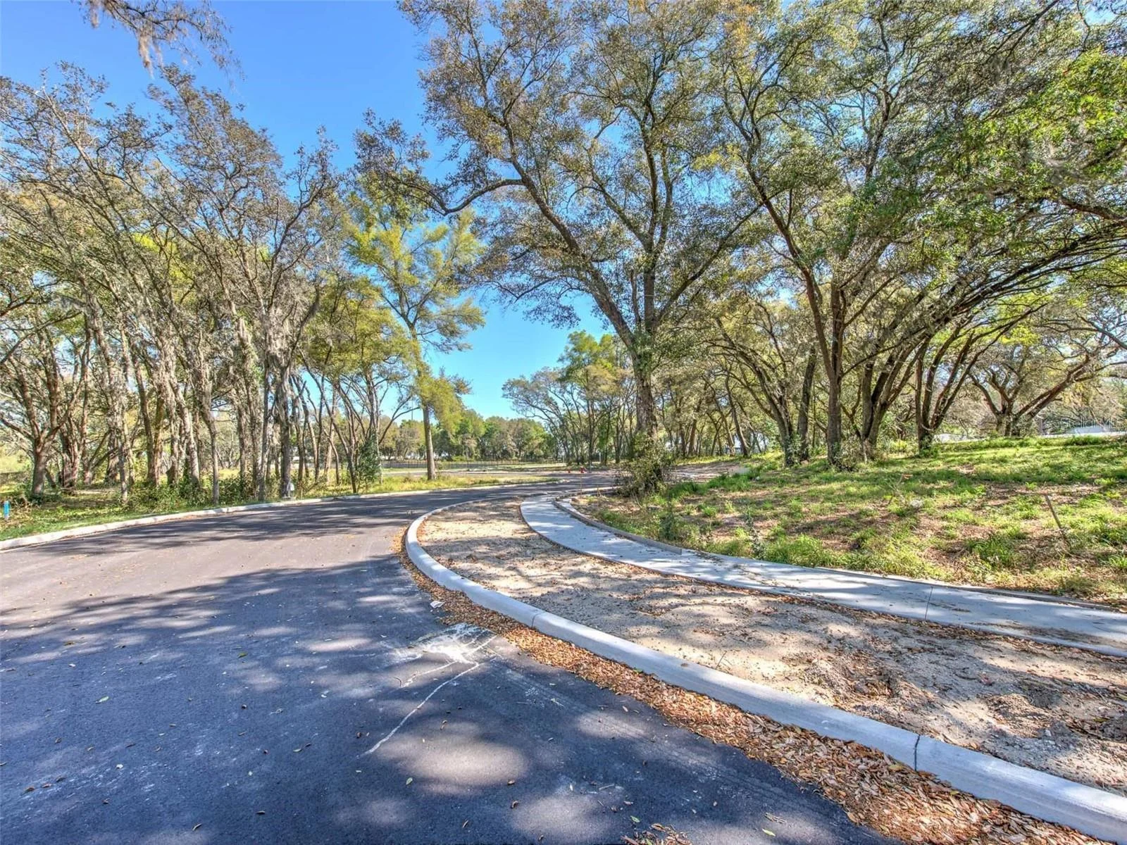 6011  COUNTY ROAD 579, SEFFNER, FL — photo 15