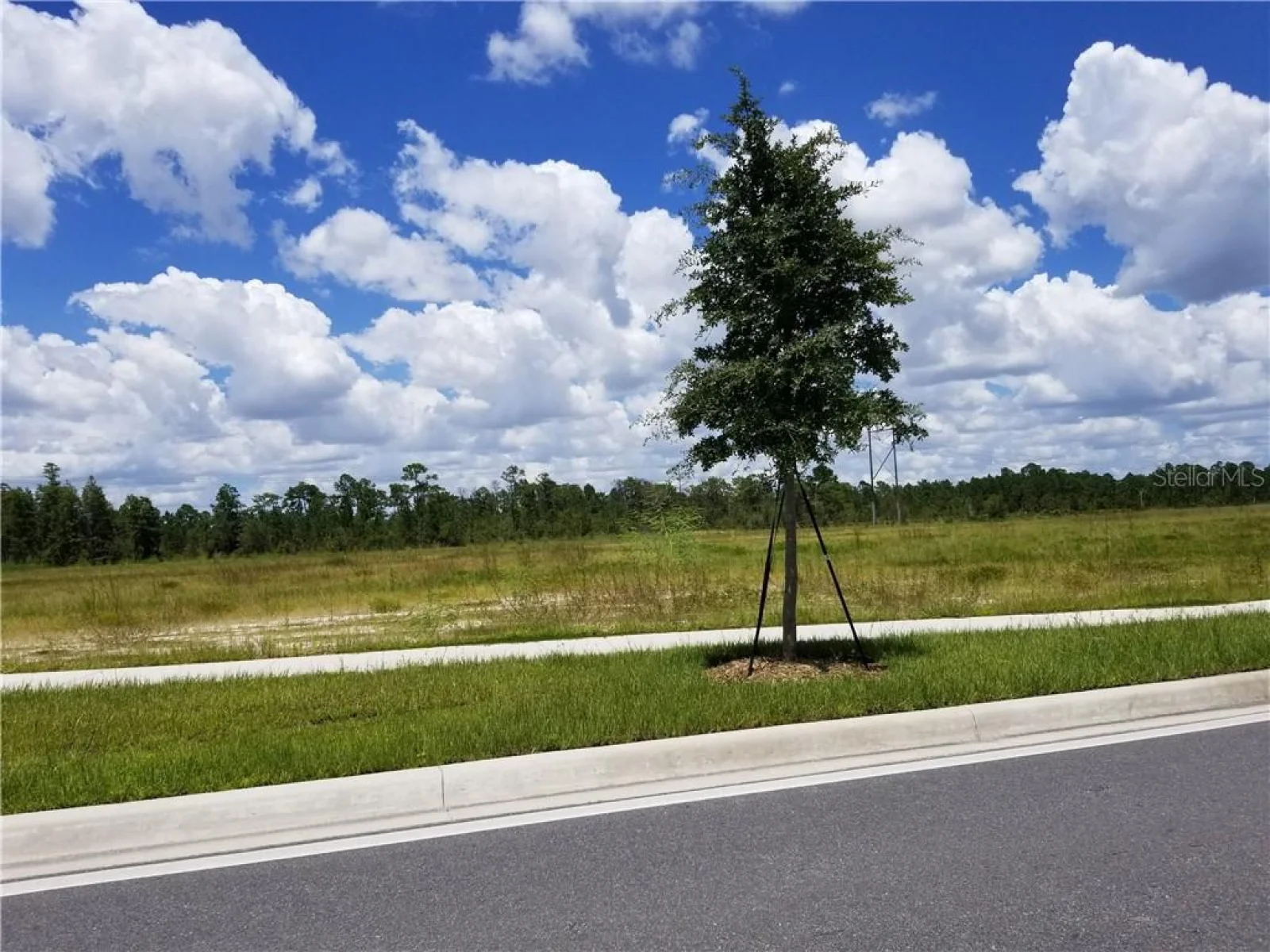S APOPKA VINELAND, ORLANDO, FL — photo 2