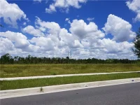 S APOPKA VINELAND — photo 3