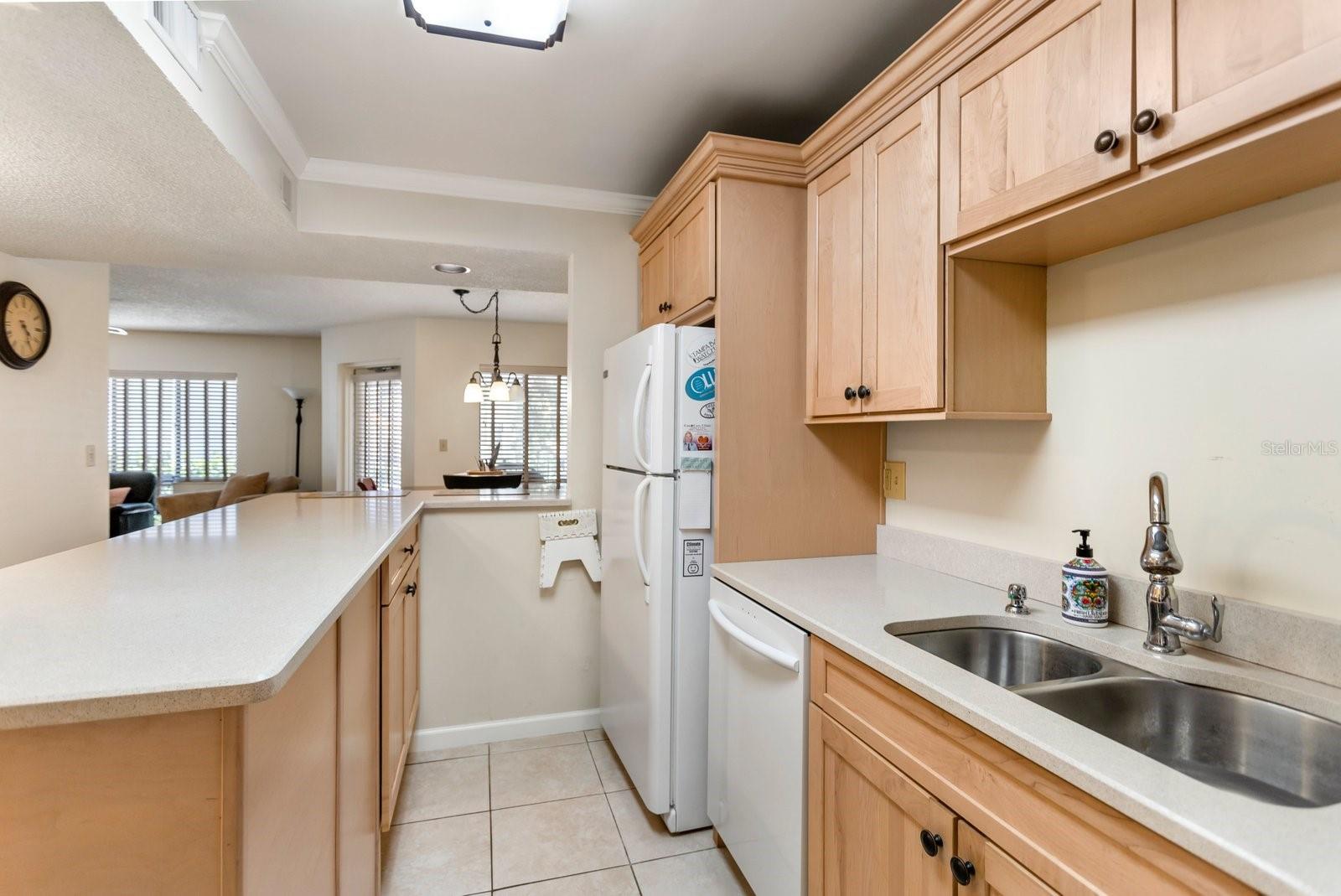 1515 PINELLAS BAYWAY #C31, TIERRA VERDE, FL — photo 14