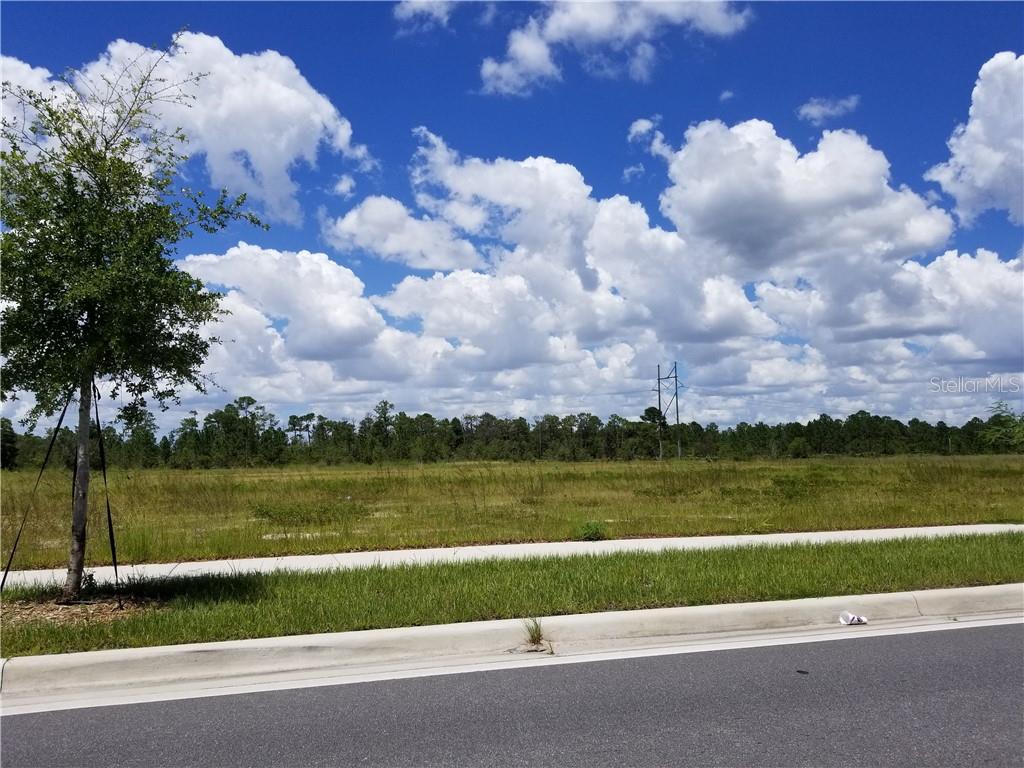 APOPKA VINELAND RD, ORLANDO, FL