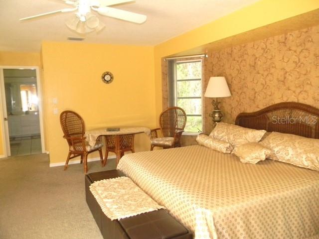 212 BOA VISTA ST, PUNTA GORDA, FL — photo 15