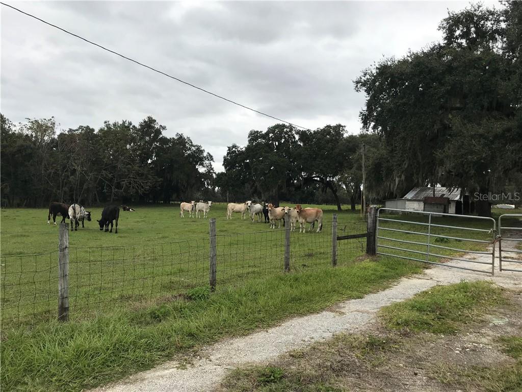 1401 STATE ROAD 44, LEESBURG, FL — photo 32
