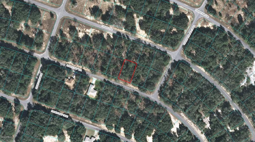 00 FISHER WAY TRL, OCKLAWAHA, FL