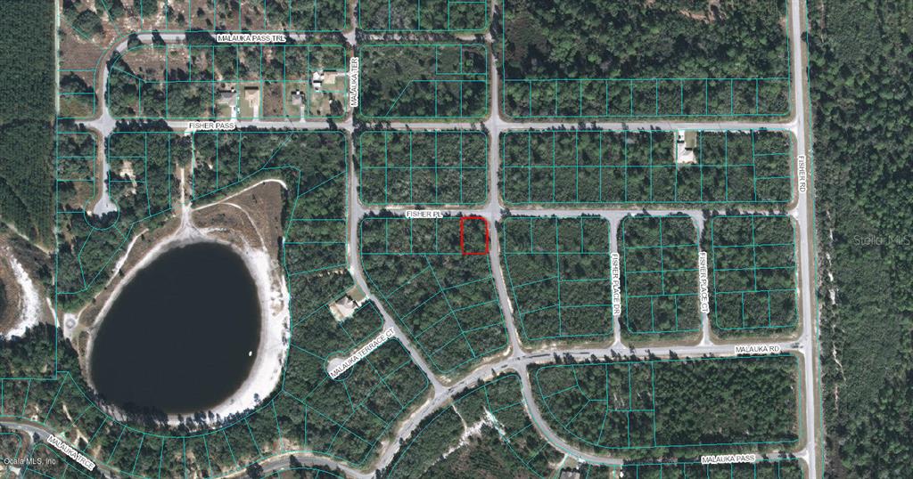 00 FISHER PL, OCKLAWAHA, FL