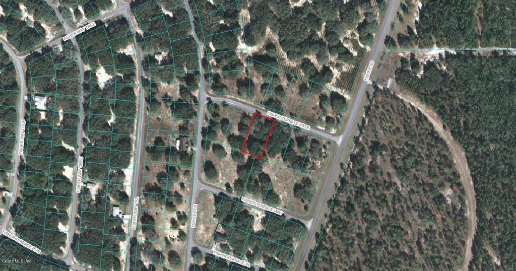 00 FISHER TERRACE TRCE, OCKLAWAHA, FL