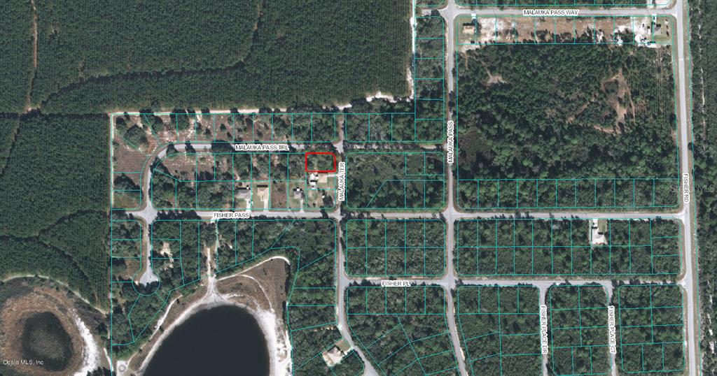 00 MALAUKA TER, OCKLAWAHA, FL
