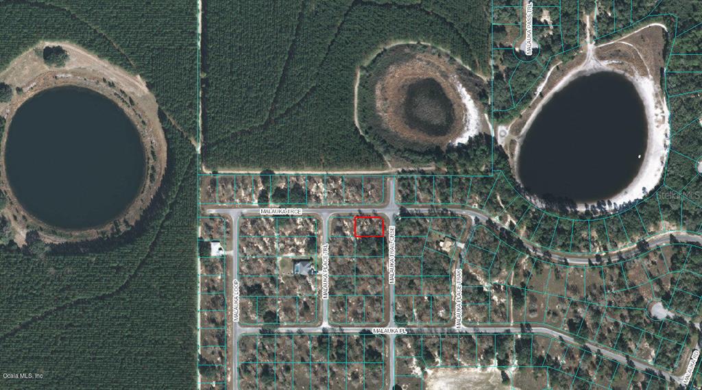 00 MALAUKA TRAIL CRSE, OCKLAWAHA, FL