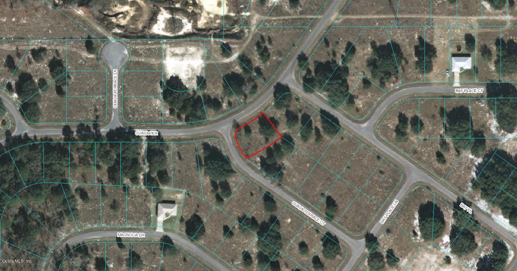 00 GUAVA TERRACE CT, OCKLAWAHA, FL