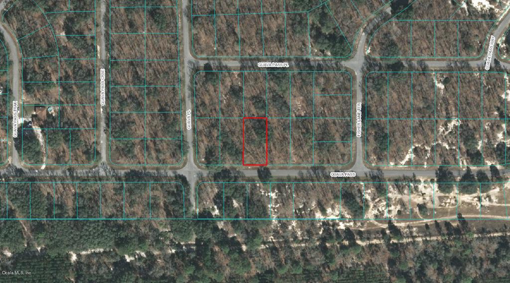 00 GUAVA PASS, OCKLAWAHA, FL