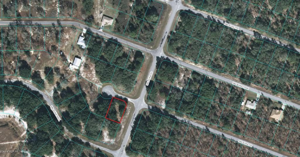 00 MALAUKA DR, OCKLAWAHA, FL