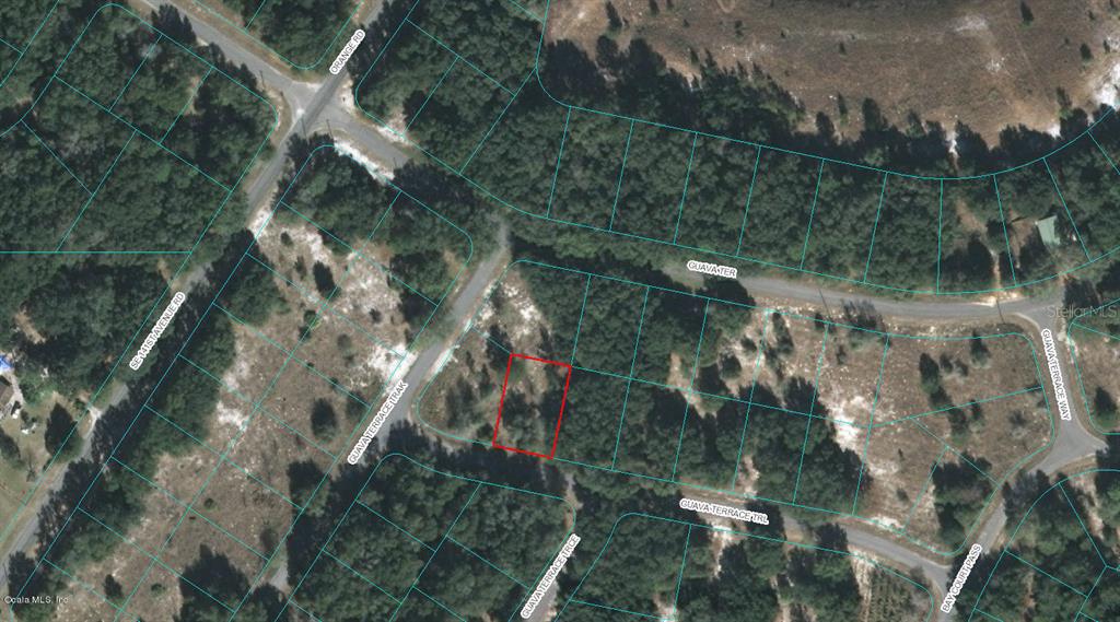 00 GUAVA TERRACE TRL, OCKLAWAHA, FL