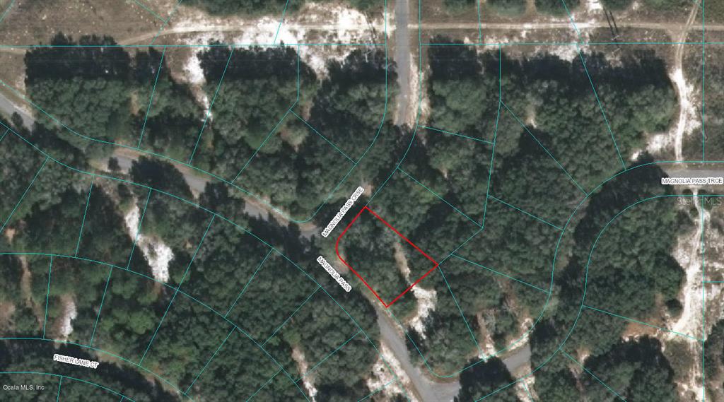 00 MAGNOLIA PASS CRSE, OCKLAWAHA, FL