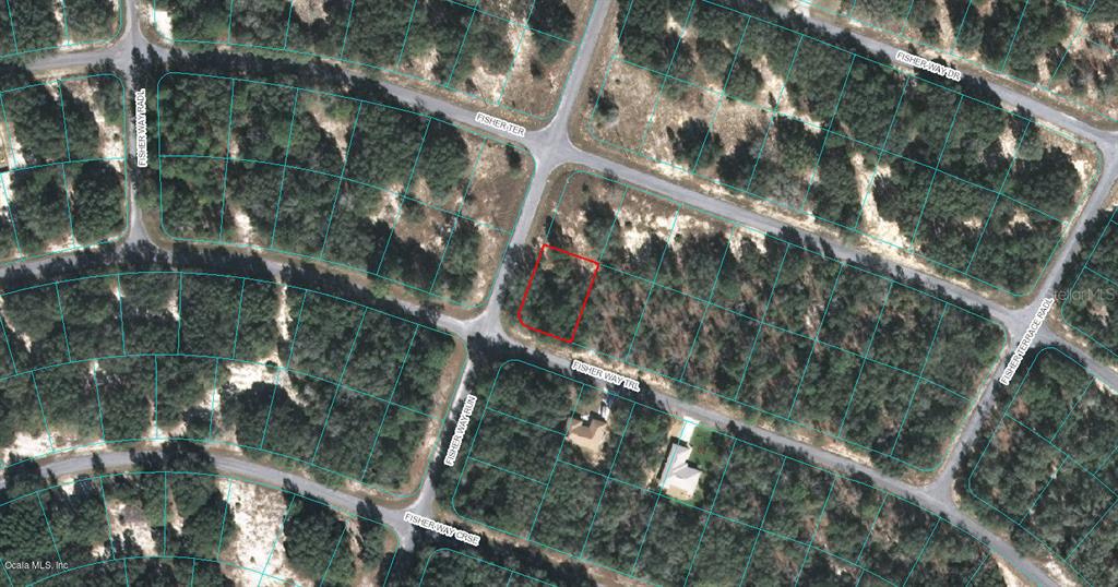 00 FISHER WAY TRL, OCKLAWAHA, FL