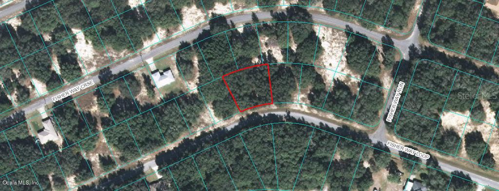00 FISHER WAY LOOP, OCKLAWAHA, FL