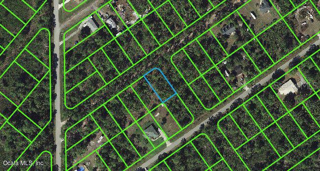 1011 Dearing ST, LAKE PLACID, FL