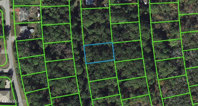 217 Harmony CT, LAKE PLACID, FL