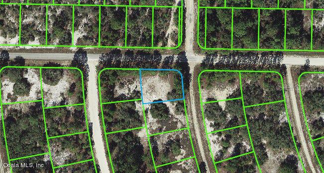 379 Jack Weisser BLVD, LAKE PLACID, FL