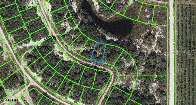211 Dargen DR, LAKE PLACID, FL