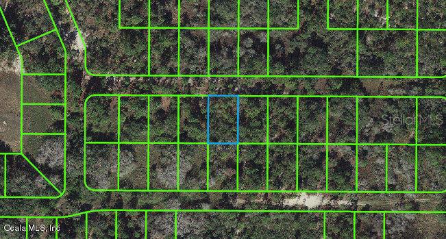 225 Tannery LN, LAKE PLACID, FL