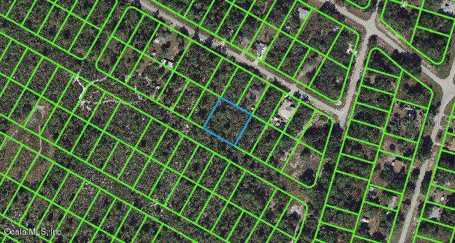 1056 FREEHILL AVE, LAKE PLACID, FL