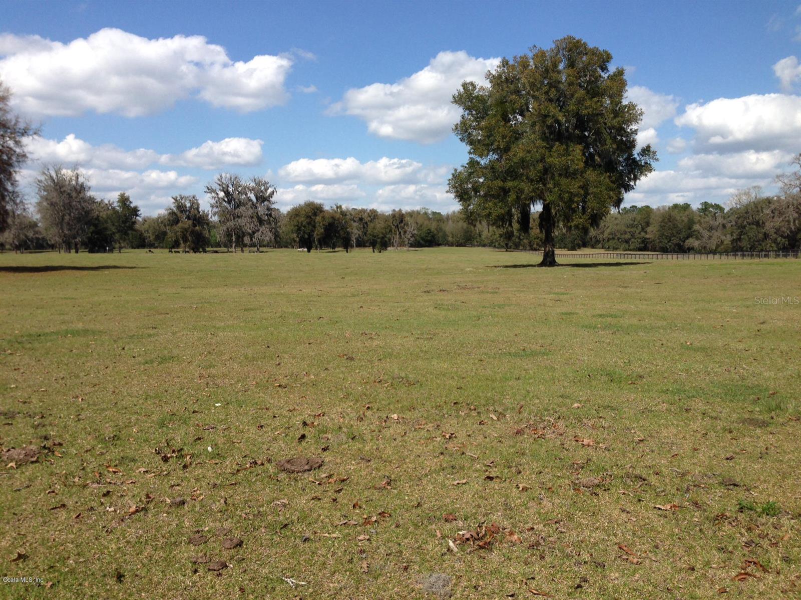 0 NW 95th ST, OCALA, FL — photo 5