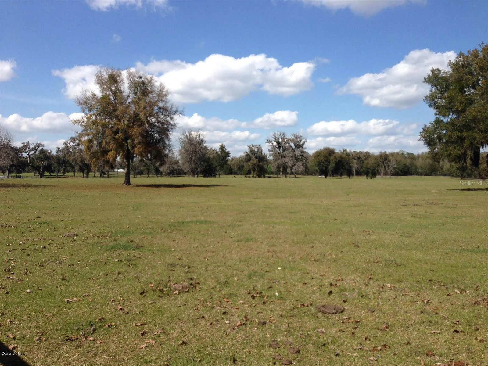 0 NW 95th ST, OCALA, FL — photo 8