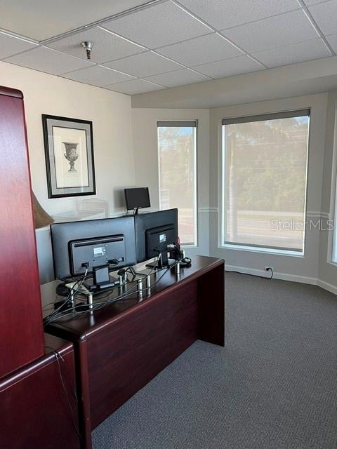 1465 S FORT HARRISON AVE, CLEARWATER, FL — photo 42