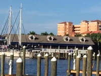 17947 COURTSIDE LANDINGS CIR — photo 58