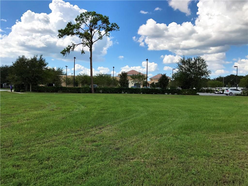 2000 VINDALE RD  & US HWY 441, TAVARES, FL — photo 27