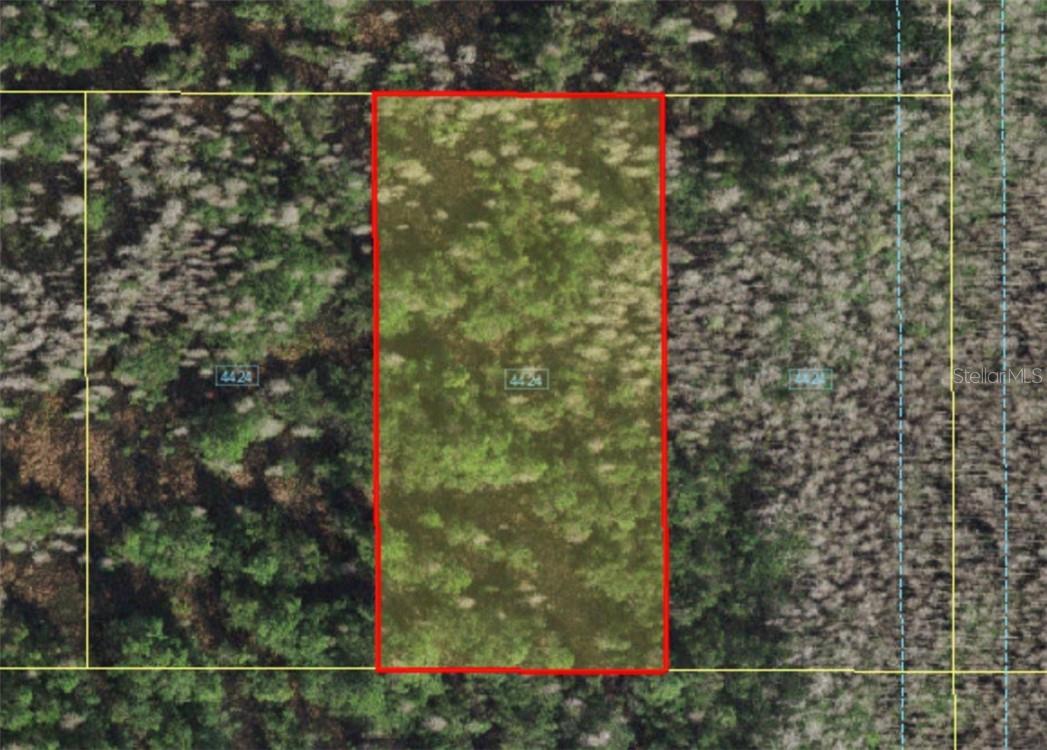 HOLOPAW GROVES RD, ST CLOUD, FL — photo 2