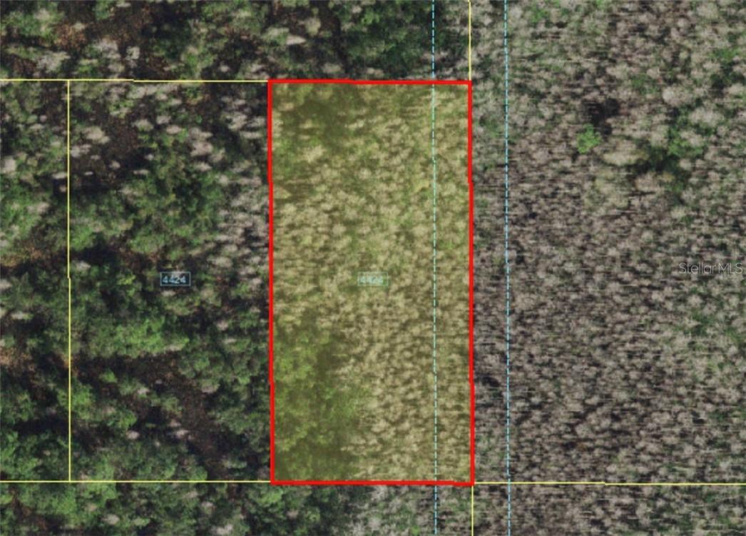 HOLOPAW GROVES RD, ST CLOUD, FL — photo 3