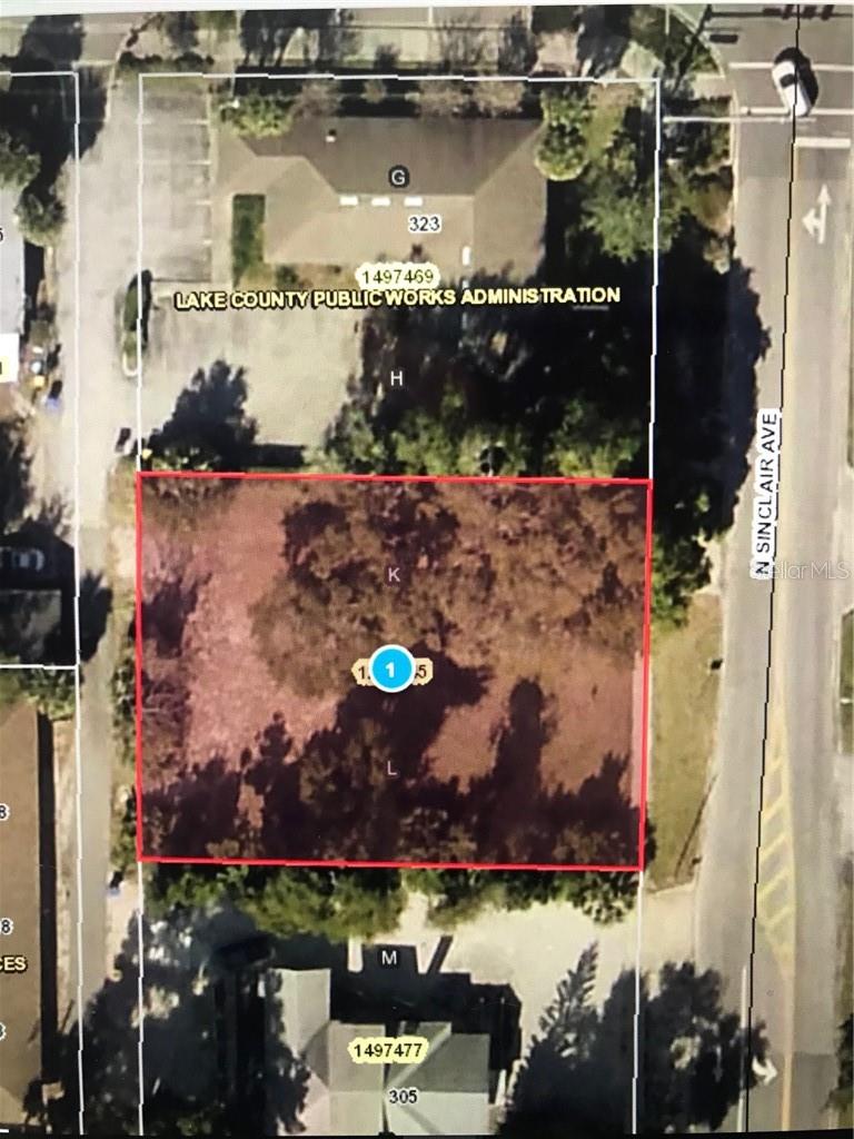 315 N SINCLAIR AVE, TAVARES, FL — photo 15
