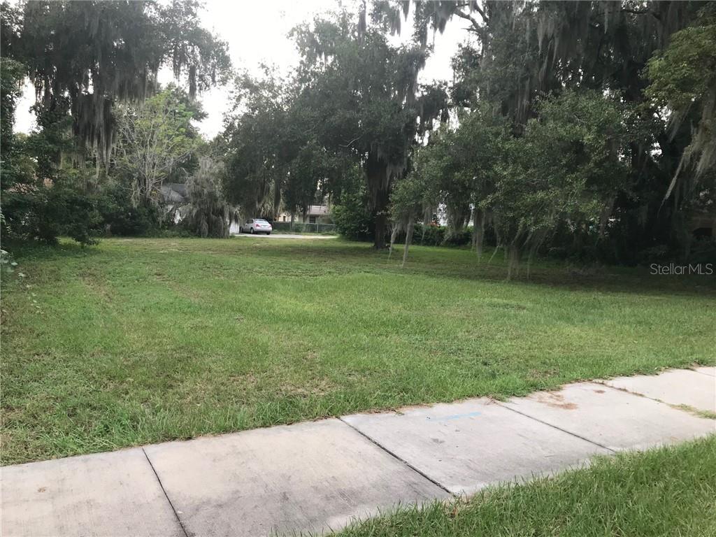 315 N SINCLAIR AVE, TAVARES, FL — photo 9