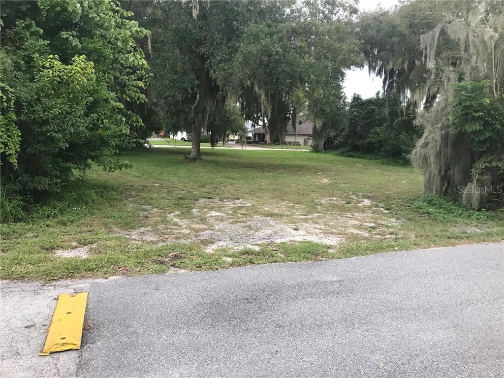 315 N SINCLAIR AVE, TAVARES, FL — photo 12