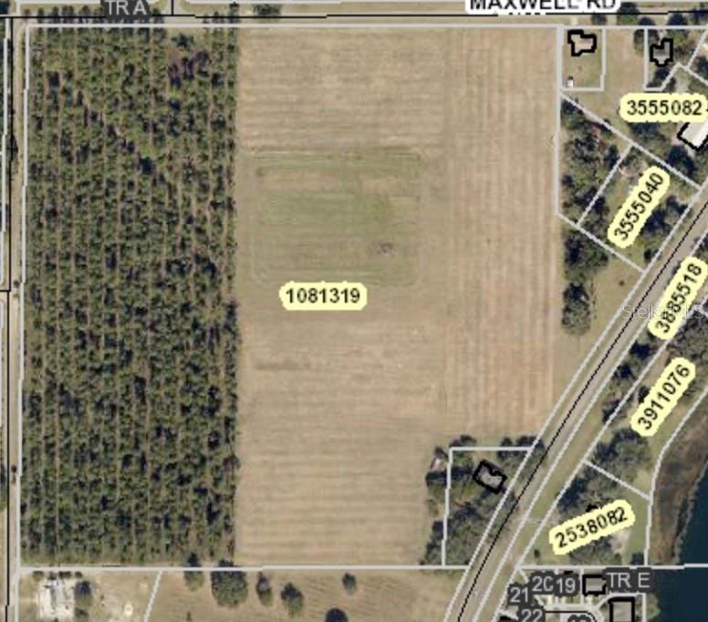 STATE ROAD 19, UMATILLA, FL — photo 5