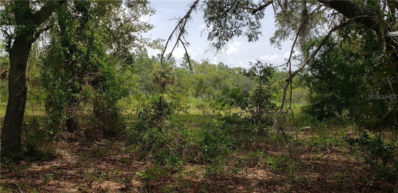 Lot 11 NE ALT HWY 27, WILLISTON, FL