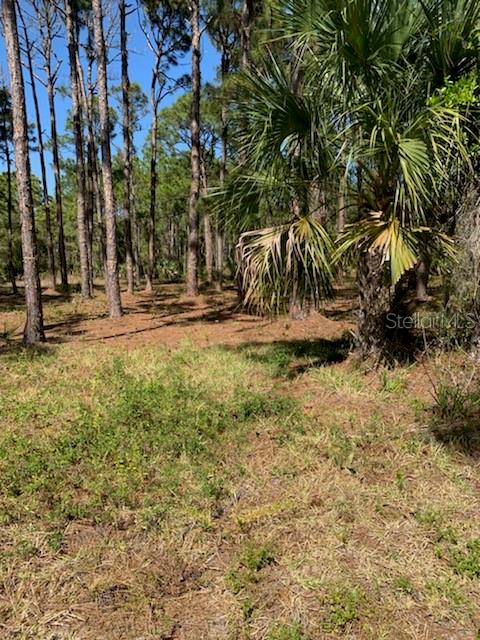 8878 BANTRY BAY BLVD, ENGLEWOOD, FL — photo 6