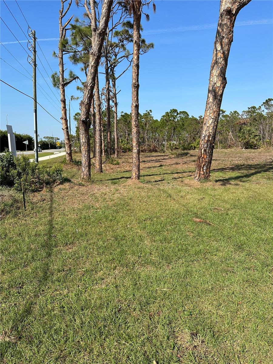 8878 BANTRY BAY BLVD, ENGLEWOOD, FL — photo 4